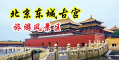 大鸡巴操骚货骚逼AV中国北京-东城古宫旅游风景区